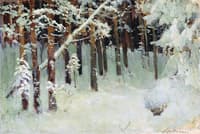 Forest in Winter