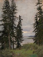 Forest by the Lake