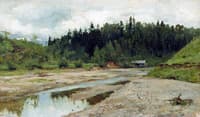 Forest Stream