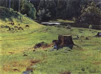 Forest Stream