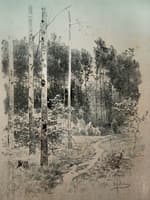 Forest Path