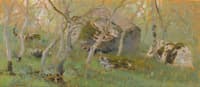 Forest Study