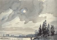 Moonlit Night