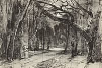 Moonlit Night in the Park