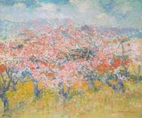 Blossoms