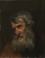 Portrait of an Old Man