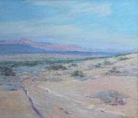 Desert Stillness
