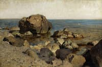 The Seashore