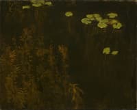 Water Lilies
