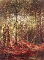 Forest Interior