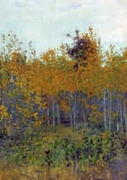 Autumn Woods