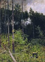 Grey Day in the Woods