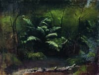 Ferns by the Water