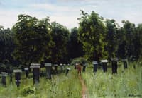 The Apiary