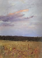 Field