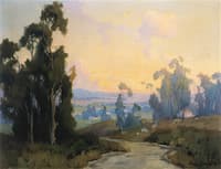 Eucalyptus Trees