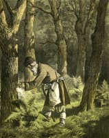 The Ivan Kupala Night