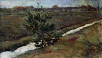Early Spring