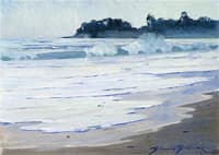 Surf on the Serena Beach