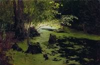 Pond