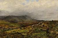Near Moel Siabod