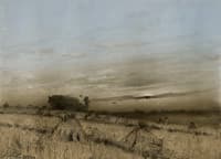 Field after Harvest