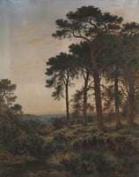 The Evening Hour