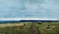 Grey Day in the Fields