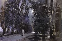 Shadows, Moonlit Night