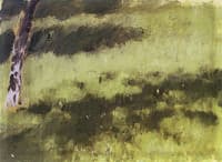 Grass