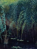 Reeds and Water Lilies