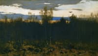 The Flight of a Woodcock