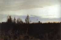 The Flight of a Woodcock