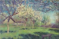 Apple Trees in Bloom