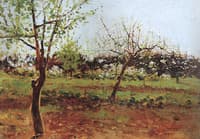 Apple Trees in Bloom