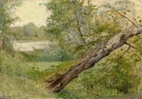 Tree by the Lake