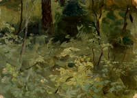 Woodland