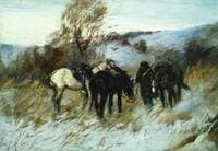 Winter Storm