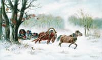 The Winter Ride