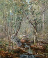 Woodland Stream