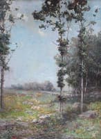 Sheep in a Meadow