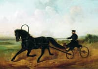 The Coachman