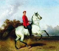 Hussar on Horseback