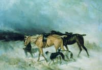 Horses and Dogs