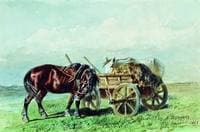 Horse in the Field