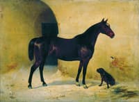 Horse and Dog