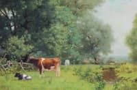 Grazing