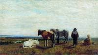 Horses Grazing