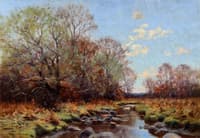 Early Summer Stream