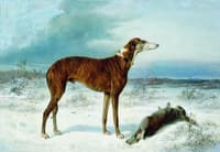 A Dog and Hare
